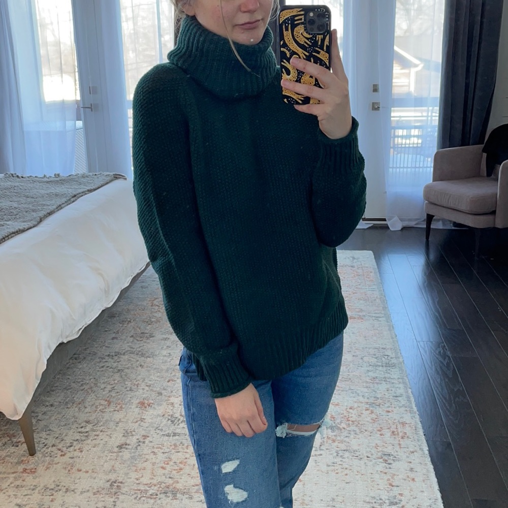 NEVER WORN Varick Turtleneck Sweater